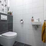 Appartement Oude-Tonge Dabbestraat 122 toilet