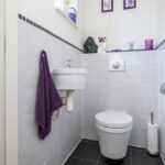 Hoekwoning Oude-Tonge Eisenhowerlaan 2 toilet