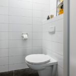 Hoekwoning Dirksland Beukenlaan 17 toilet