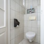 Hoekwoning Oude-Tonge Julianastraat 22 toilet